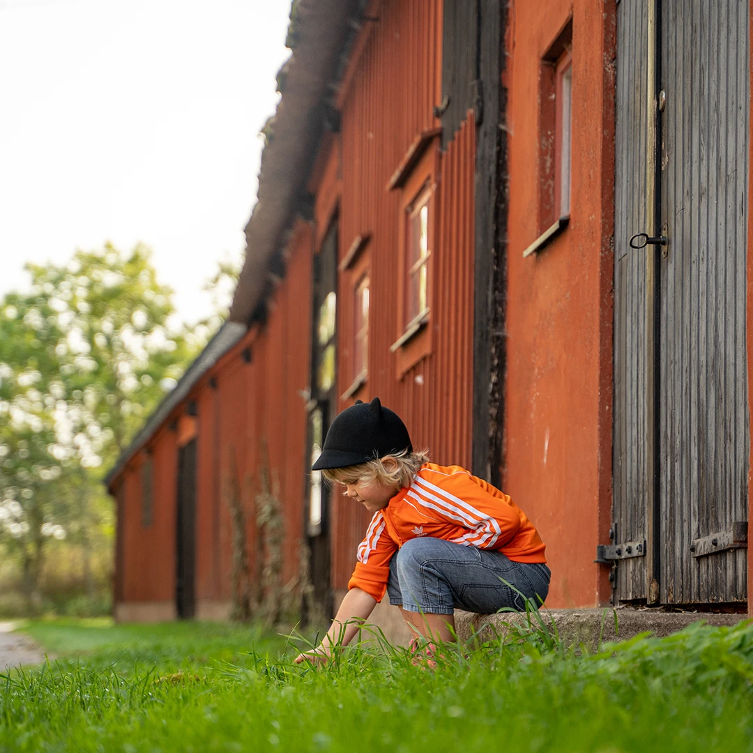 Ölands Museum Himmelsberga - barnaktivitet